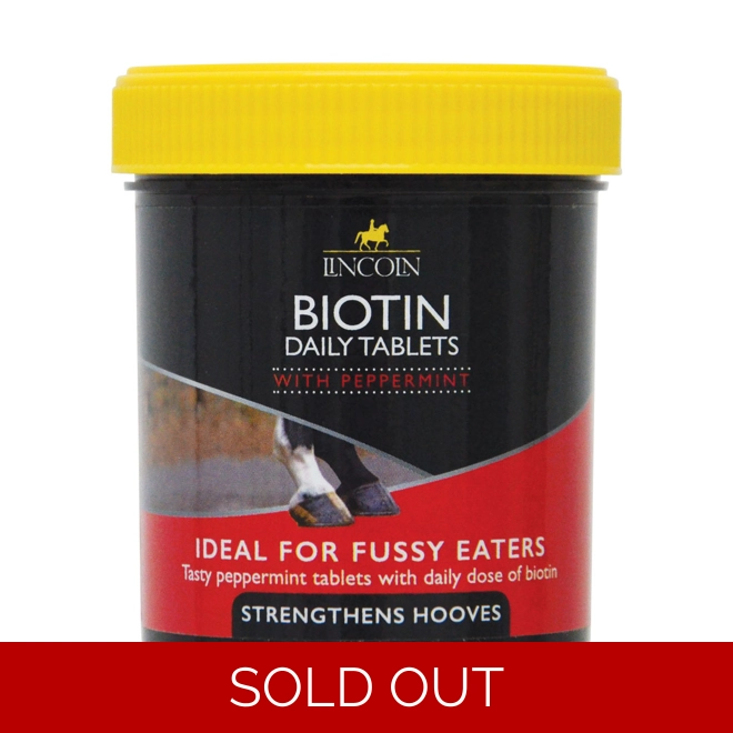 product Image for Lincoln Biotin Daily Tablets - Peppermint - 60 tablets